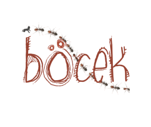 Screen shot 2014-07-02 at 2.20.08 PM