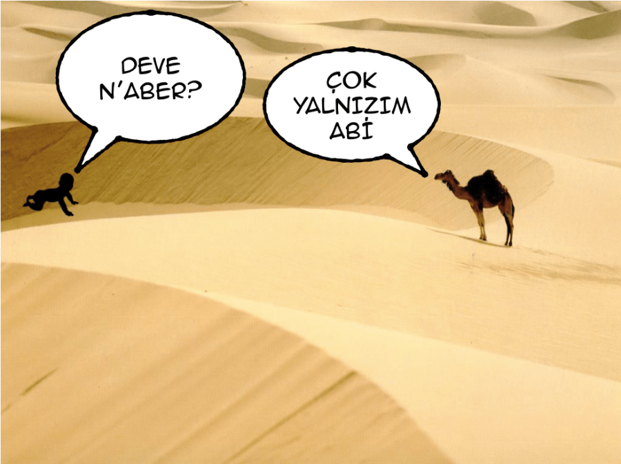 Screen Shot 2017-04-10 at 15.13.12